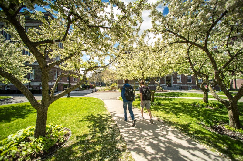 2 people walking through campus under trees